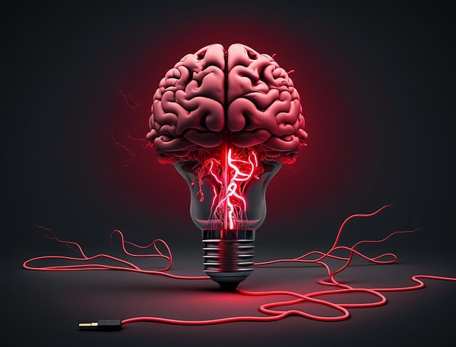 cerveau